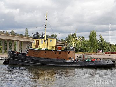 Merikarhu Haminassa 2013.