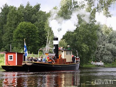 Metsä Jämsässä 2011.
