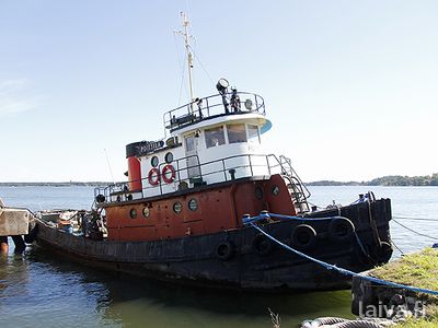 Poitsila Suomenlinnassa 2013.