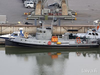 Wilhelm Carpelan Forum Marinumin edustalla Turussa.