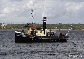 Antero Kotkassa 2015.