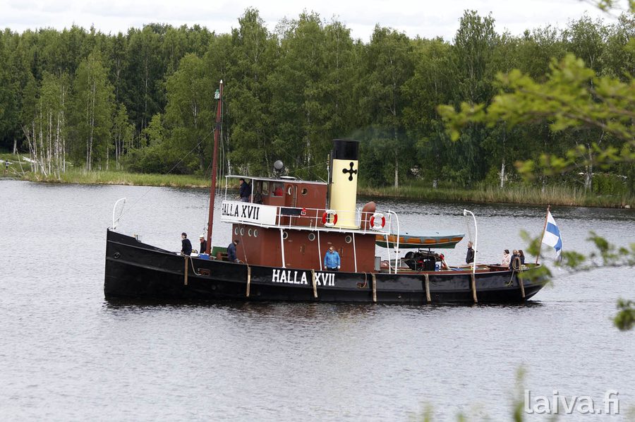 Halla XVII Mikkelissä