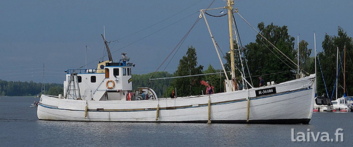 HERRING