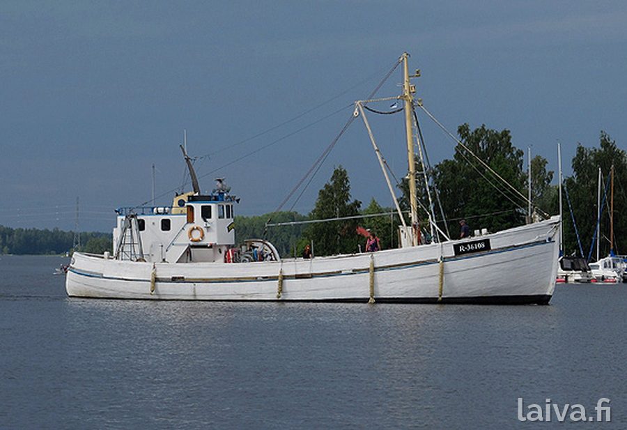 Herring Lappeenrannassa 2013.