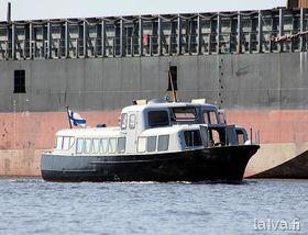 Kauris Helsingissä 2012.