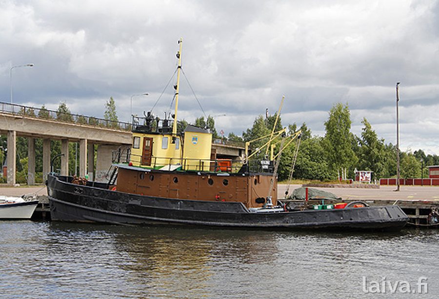 Merikarhu Haminassa 2013.