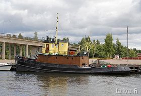 Merikarhu Haminassa 2013.