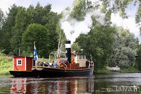 Metsä Jämsässä 2011.