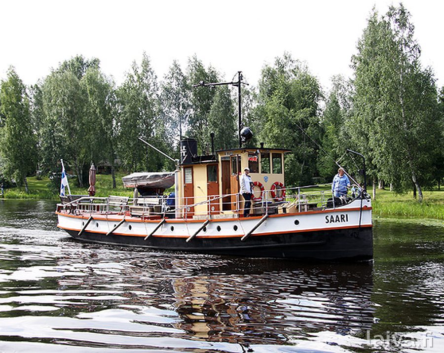 Saari Jämsässä 2011.