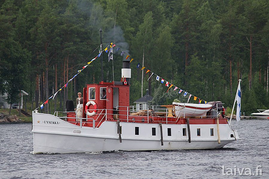 Unnukka Puumalassa 2013.
