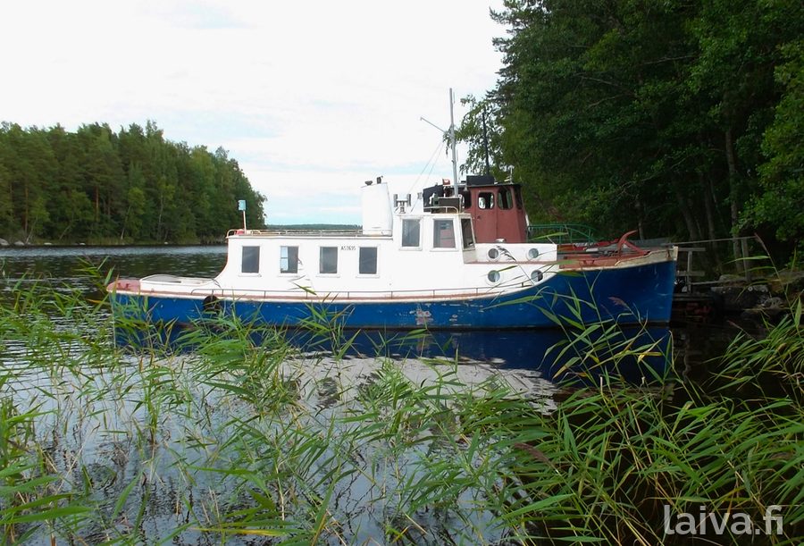 Viri kotilaiturissaan vuonna 2023